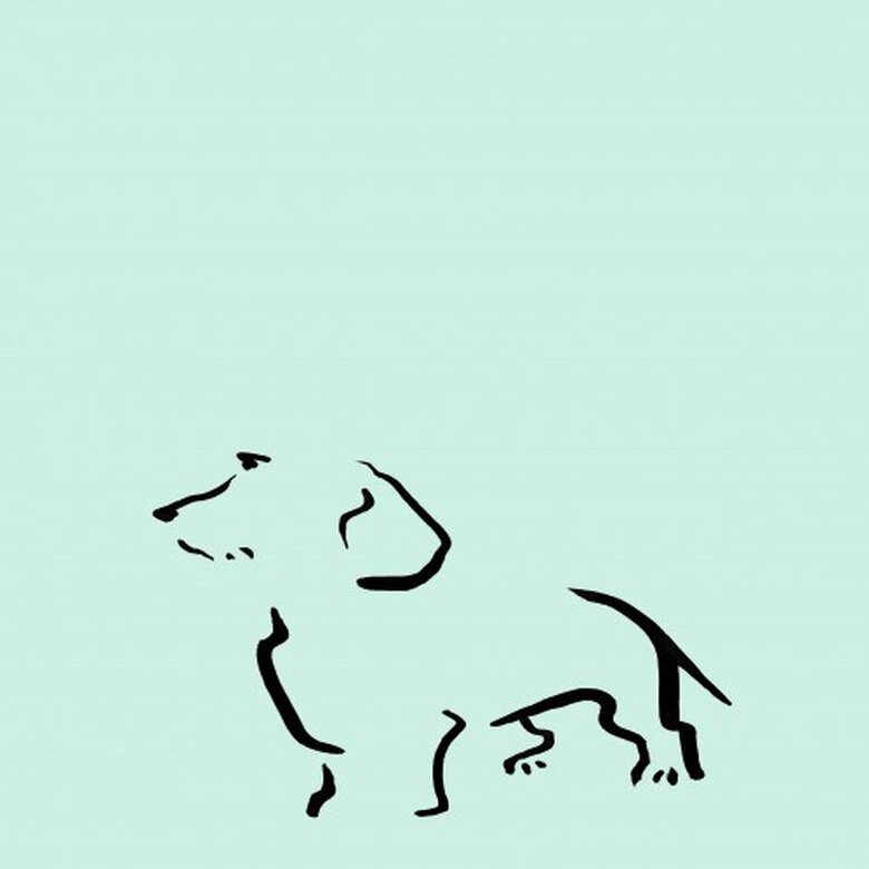 Ilustración de Terrier A4 sin marco color Mint, , large image number null