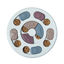 Pack pelota interactiva + juguete interactivo Komypets, , large indicador imagen numero 4