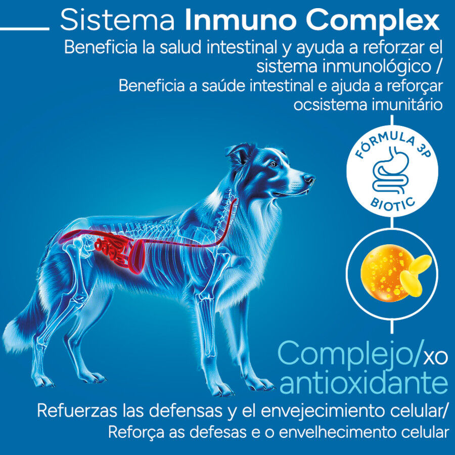 Criadores Cient&iacute;fico Sensitive Adulto Medium-Maxi Pienso Salm&oacute;n para perros, , large Imagen numero 3