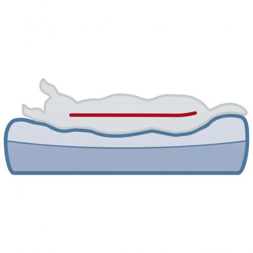 Colch&oacute;n para mascotas color Marr&oacute;n, , large Imagen numero 3