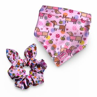 Puppies & Pom Poms Bee Happy Dachshunds Paquete de bandana y coletero para perros salchicha