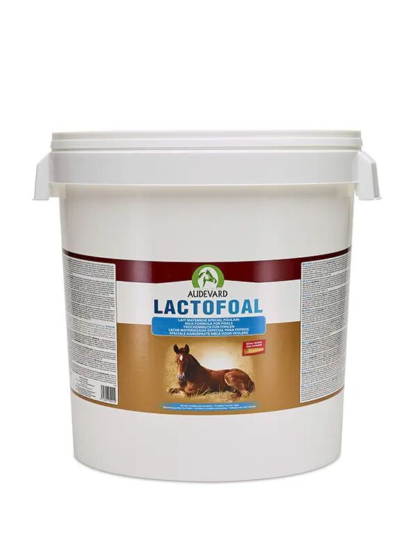 AUDEVARD LACTOFOAL 14KG, , large Imagen numero 1
