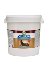 AUDEVARD LACTOFOAL 14KG