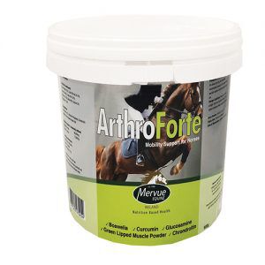 ARTHROFORTE 900GR, , large Imagen numero 1