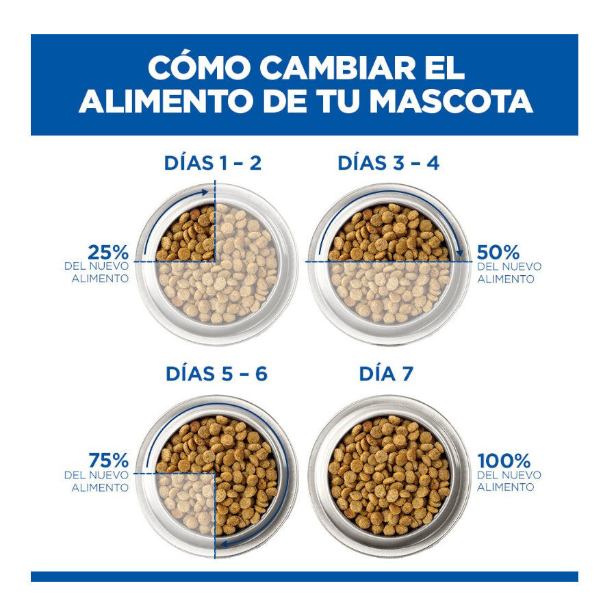 12 kg Hill's Science Plan Perfect Weight y Active Mobility pollo pienso para perros medianos, , large Imagen numero 7