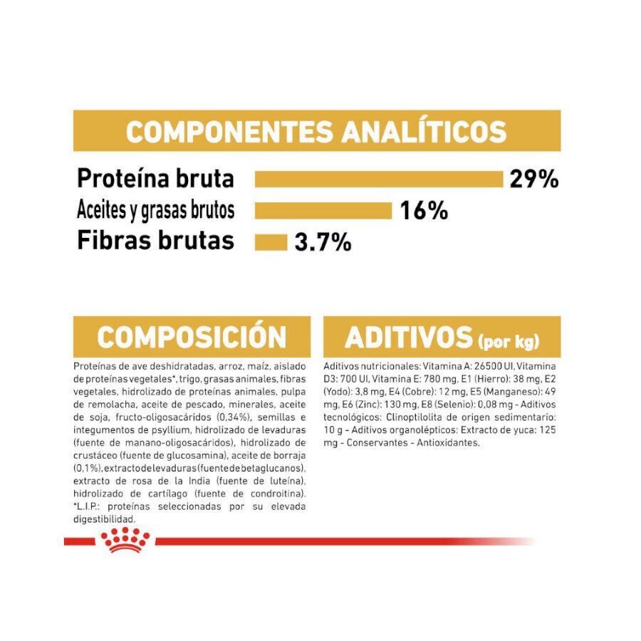 Royal Canin Puppy Golden Retriever pienso para perros thumbnail