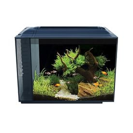 Fluval Spec Nano Acuario negro para peces