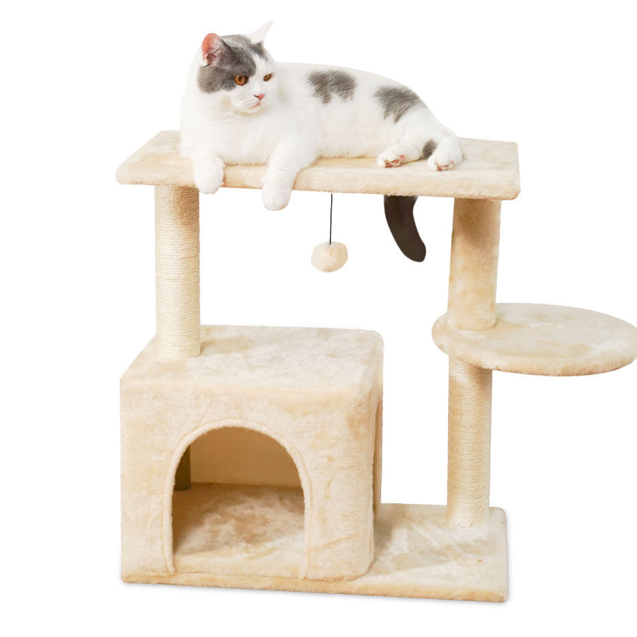 WUAPU RASCADOR GATO 7x1 GRIS 55x55x168, , large Imagen numero 3