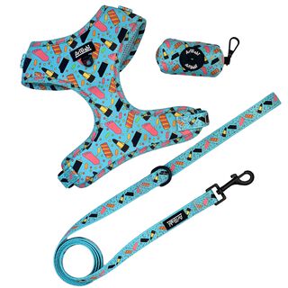 Pack premium paseo para perro (arnés, correa y porta bolsas) - Colección FrigoPata