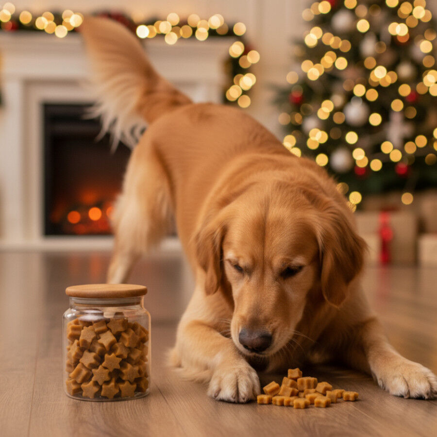 70 g Wonder Christmas Galletitas Navide&ntilde;as para perros, , large Imagen numero 2