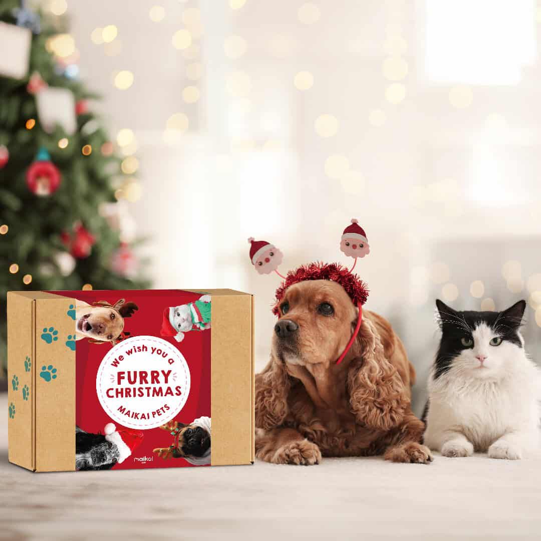 Caja Regalo Navidad para gatos y perros - Lote de snacks + Aceite de salm&oacute;n, , large Imagen numero 2