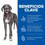 Hill's Science Plan Perfect Digestion Adult large Pollo pienso para perros, , large indicador imagen numero 3