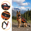 Outech X-perience Arn&eacute;s Multiusos para perros, , large indicador imagen numero 3