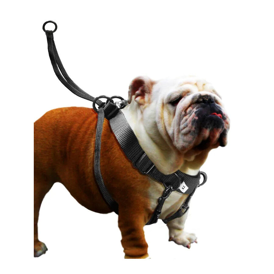 Flamingo Easy Walker Arn&eacute;s Negro para perros, , large Imagen numero 2