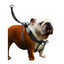 Flamingo Easy Walker Arnés Negro para perros, , large indicador imagen numero 2