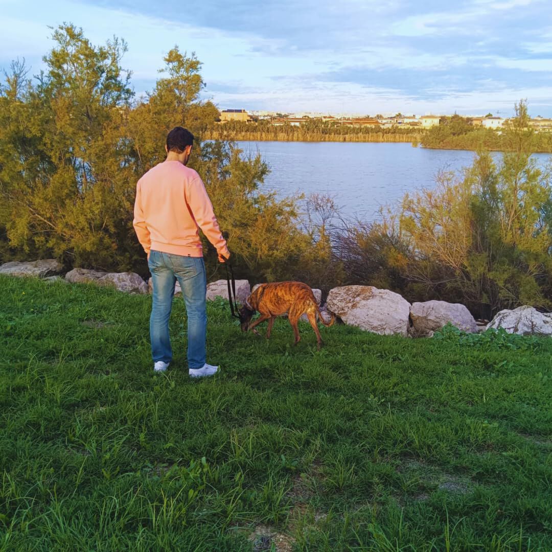 EL GALGUITO VALIENTE Correa multiposicion manos libres para perro thumbnail