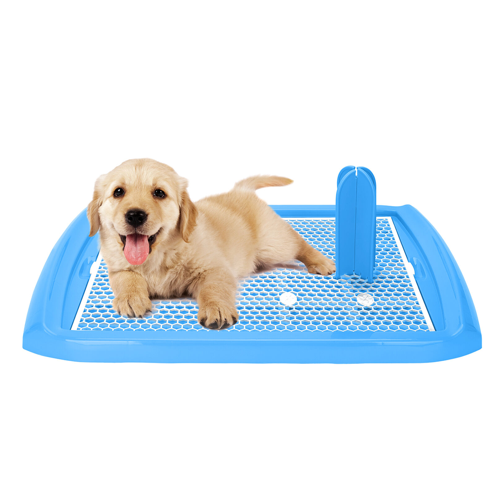 Nobleza - Bandeja de Entrenamiento WC para Perros, Soporte para Almohadilla para Mascotas, Inodoro de Pl&aacute;stico con Poste Extra&iacute;ble para Perros y Gatos, Color Azul, Talla S, (60,5 * 39,5) cm, , large Imagen numero 1