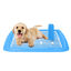 Nobleza - Bandeja de Entrenamiento WC para Perros, Soporte para Almohadilla para Mascotas, Inodoro de Plástico con Poste Extraíble para Perros y Gatos, Color Azul, Talla S, (60,5 * 39,5) cm, , large indicador imagen numero 1