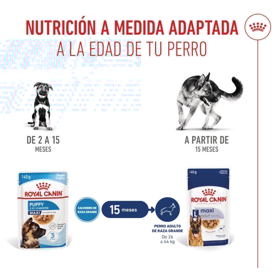 Royal Canin Húmedo Maxi Puppy sobre para perros thumbnail