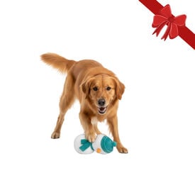 Wonder Christmas Peluche Muñeco de Nieve Navideño para perros