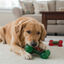 Wonder Christmas Juguete Huesos Navideños para perros, , large indicador imagen numero 3