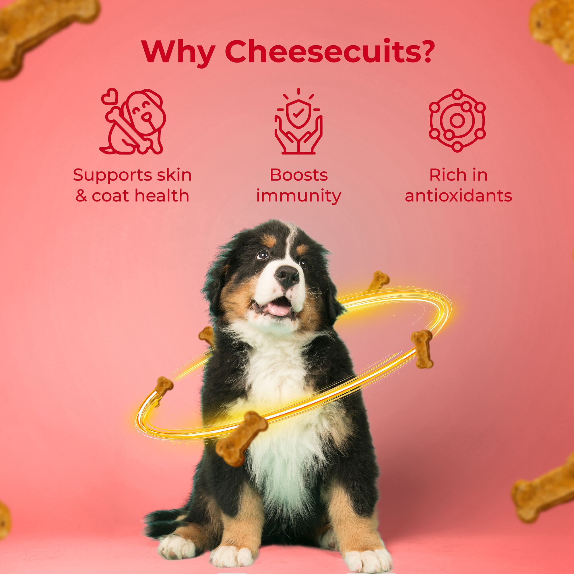 Galletas de queso para perros con manzana y canela - Cheesecuits (100 g/3,53 oz), , large Imagen numero 5