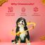 Galletas de queso para perros con manzana y canela - Cheesecuits (100 g/3,53 oz), , large indicador imagen numero 5