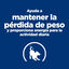 2 x 6 kg Hill's Prescription Diet Metabolic + Mobility Mini j/d pienso para perros &iexcl;Pack ahorro!, , large indicador imagen numero 3