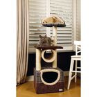 Poster rascador Beeztees Danya color Marrón, , large image number null