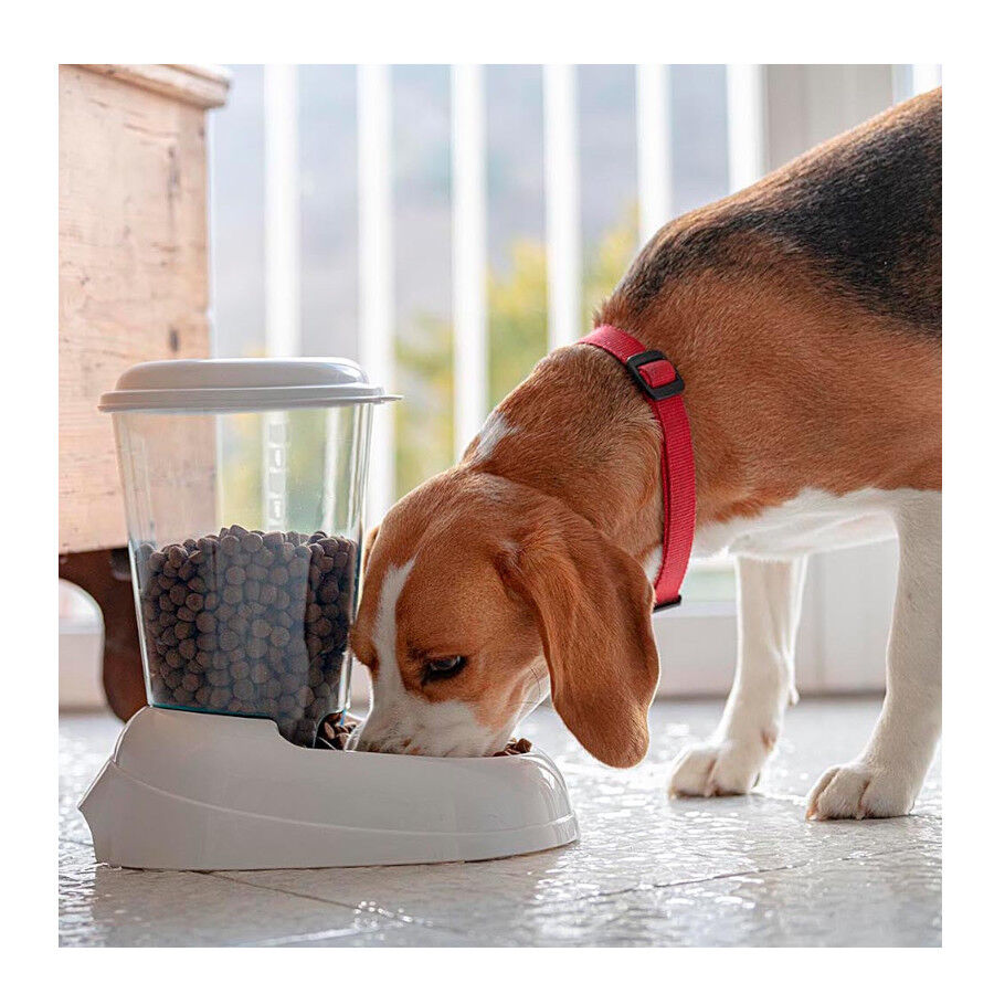 Ferplast Zenith Dispensador de Pienso para mascotas thumbnail