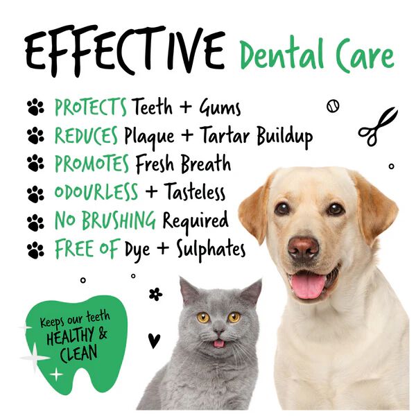 Soluci&oacute;n dental para el agua, , large Imagen numero 4