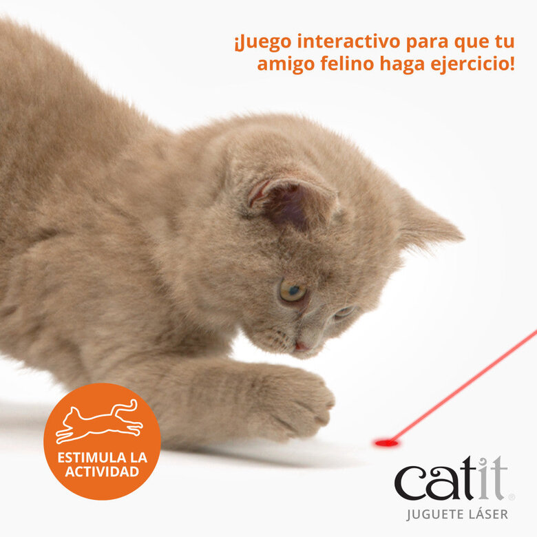 Juguete laser para gatos Catit, , large image number null