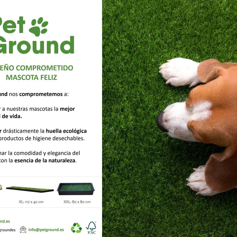 RECAMBIO PETGROUND XL/XXL CÉSPED NATURAL, , large image number null