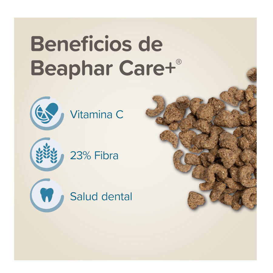 Beaphar Care + Pienso para cobayas, , large Imagen numero 3