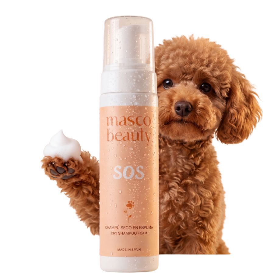 Champ&uacute; Seco en Espuma para perros &middot; Sin agua y sin aclarado &middot; Limpia y refresca al instante &middot; Ideal playa, piscina y paseos &middot; Aloe Vera &middot; Hecho en Espa&ntilde;a, , large Imagen numero 1