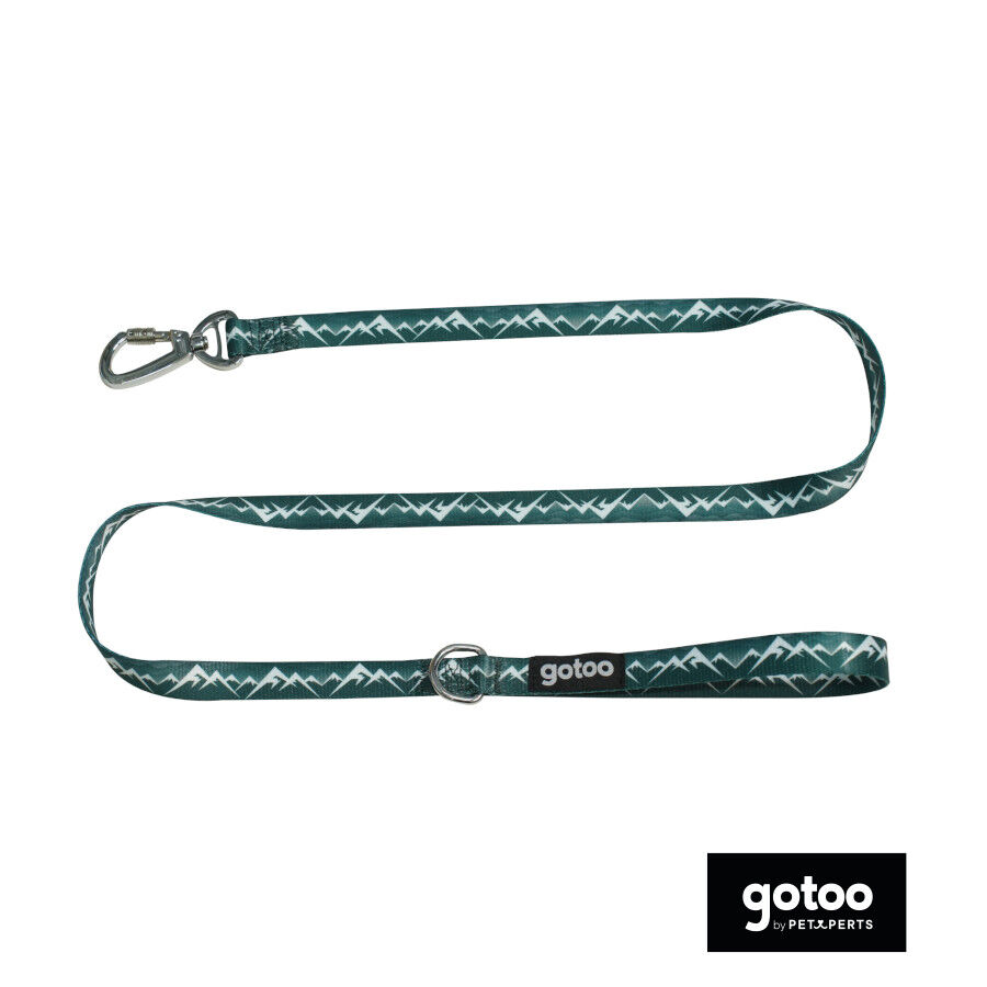Gotoo Correa con mosquet&oacute;n de seguridad verde para perros, , large Imagen numero 2