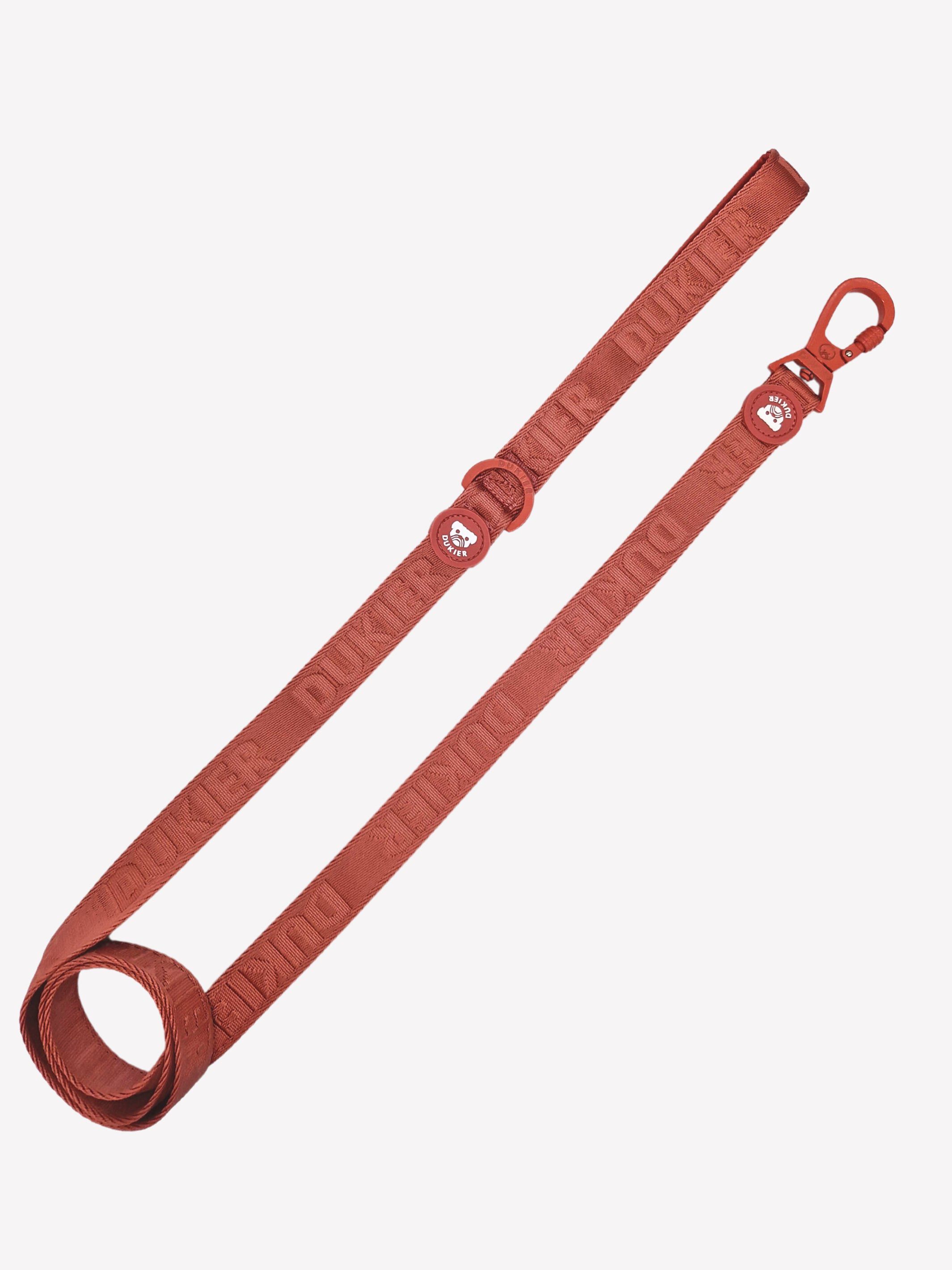 Correa Terracota (Essentials) L, , large Imagen numero 1
