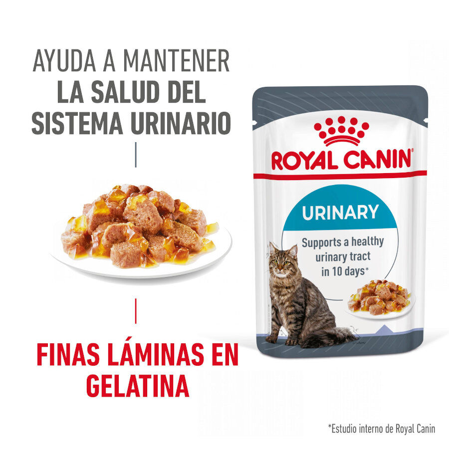 Royal Canin Urinary Care Sobre en Gelatina para gatos thumbnail