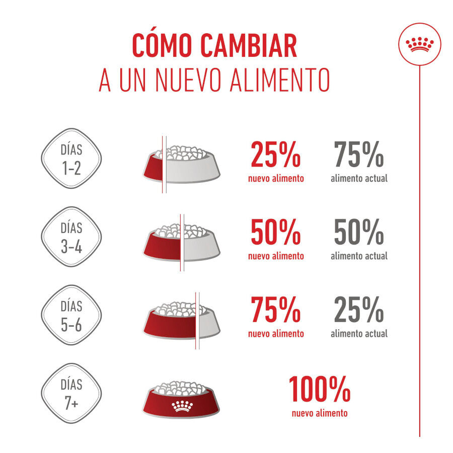 Royal Canin X-Small Puppy pienso para perros thumbnail