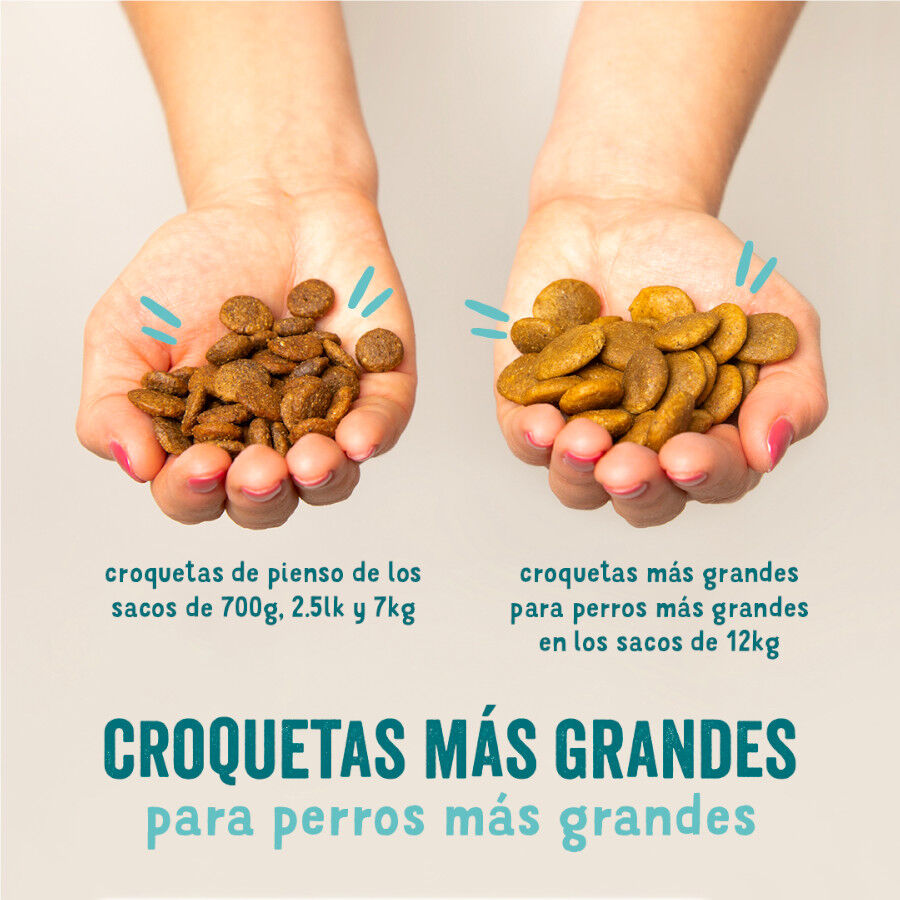 7 kg Edgard & Cooper Zanahoria y Calabac&iacute;n pienso para perros, , large Imagen numero 5