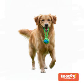 Tootoy! Mordedor de Cuerda con Pelota Verde para perros