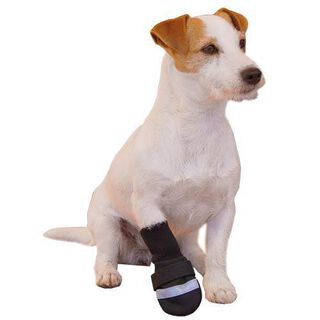 Ibañez Botas Rain Out negras para Perros