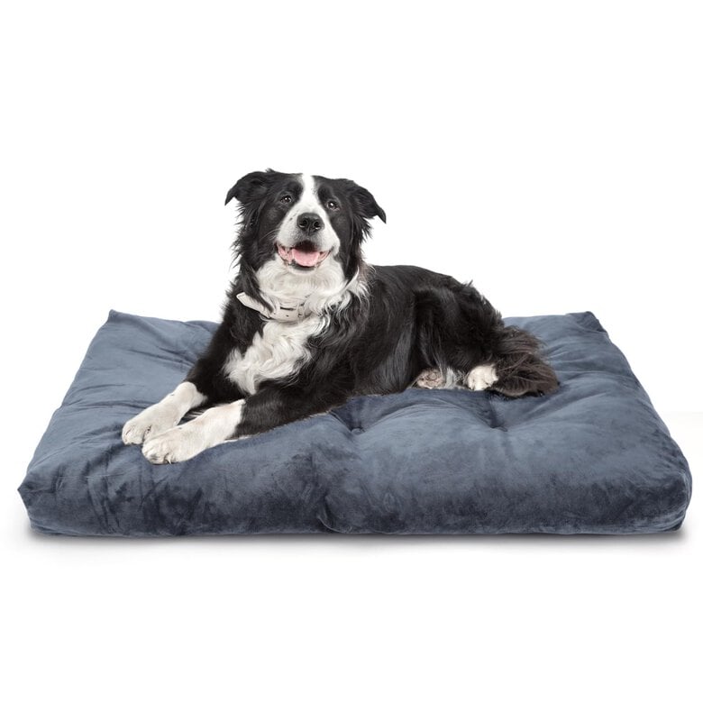 TIENDA EURASIA Cama De Perro, Cama Para Perros Grandes, Medianos Y Pequeu00f1os, Divertida Cama Perro De Poliester Con Interior Con Comodas Fibras
