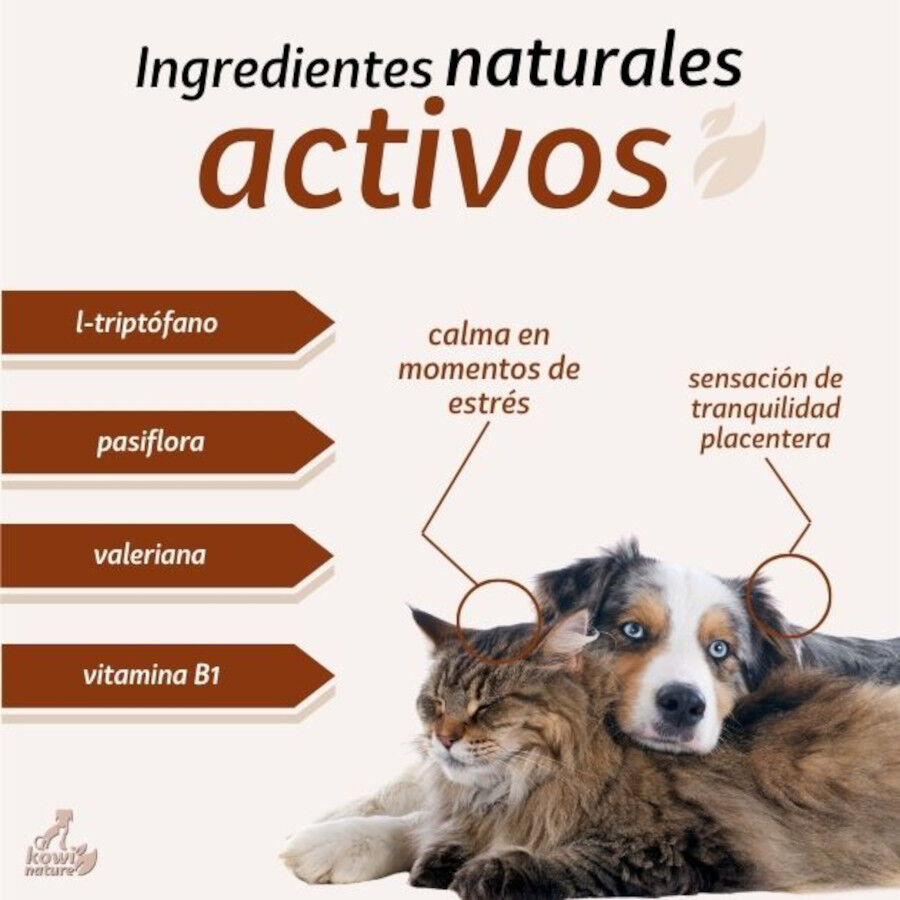 KOWI RELAX DROPS, 60 ML, , large Imagen numero 4