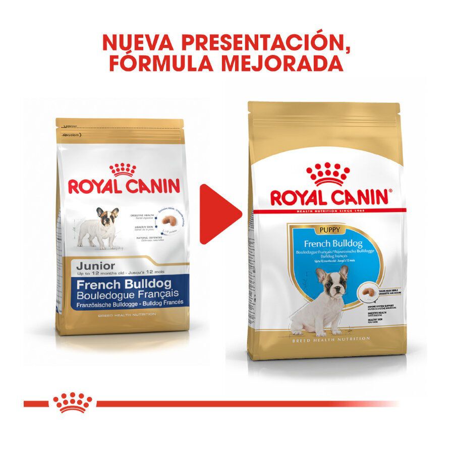 Royal Canin Puppy French Bulldog pienso para perros thumbnail
