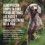 Orijen Tundra Pienso Seco Cordero y Ciervo para perros, , large indicador imagen numero 2