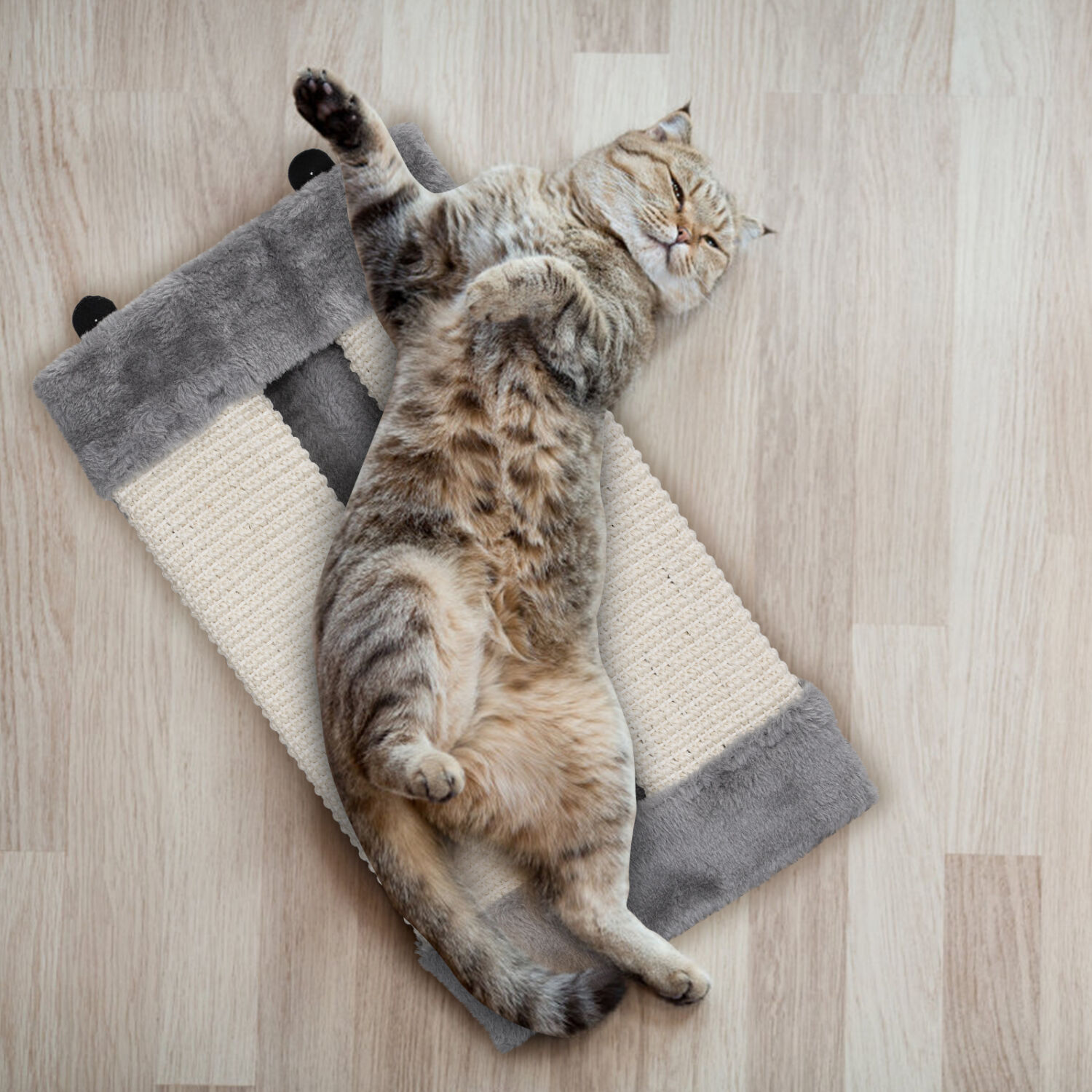 Afilador de garras para gatos top