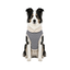 Gotoo Abrigo Azul Vichy para perros, , large indicador imagen numero 7