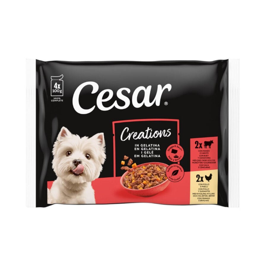 4 sobres x 100 g Cesar Carnes Mixtas Gelatina en Bolsita para Perros , , large Imagen numero 1