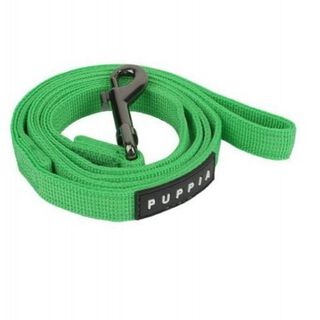 Correa Two-tone color Verde